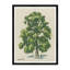 Single Tree Print