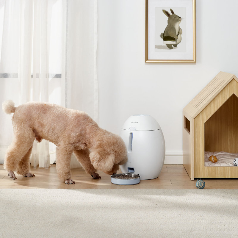 Cosmo Anti-Skid Automatic Feeder
