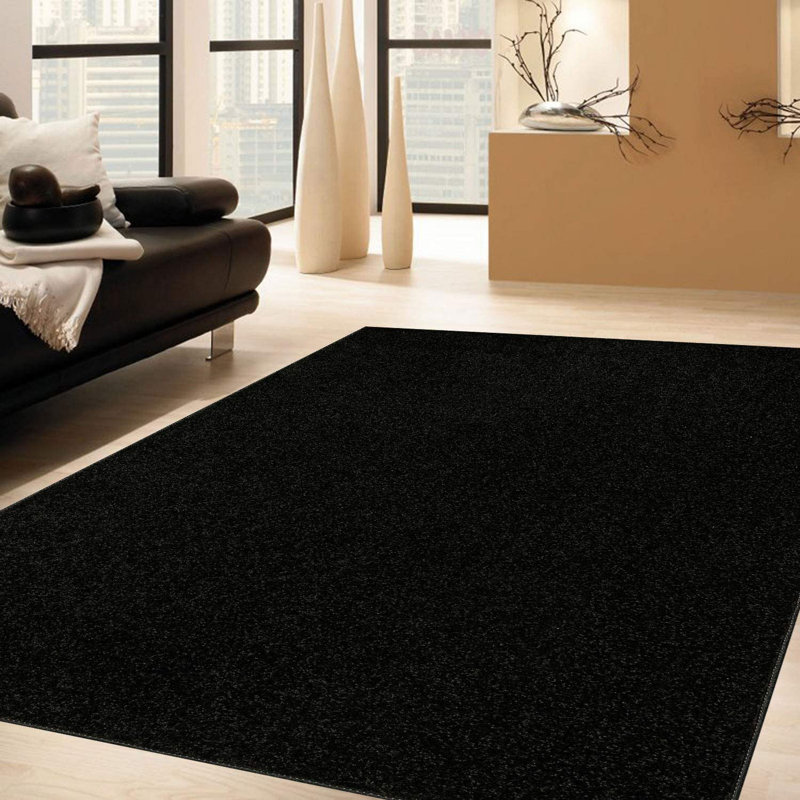 Modern Plush Pet and Kids Friendly Solid Color Black Area Rugs, Stain & Fade Resistance, Perfect for Living Room, Dining Room, Bedroom, Playroom and Kidsroom, Event, Wedding, Westcliffe, Amberdawn Binded Rug