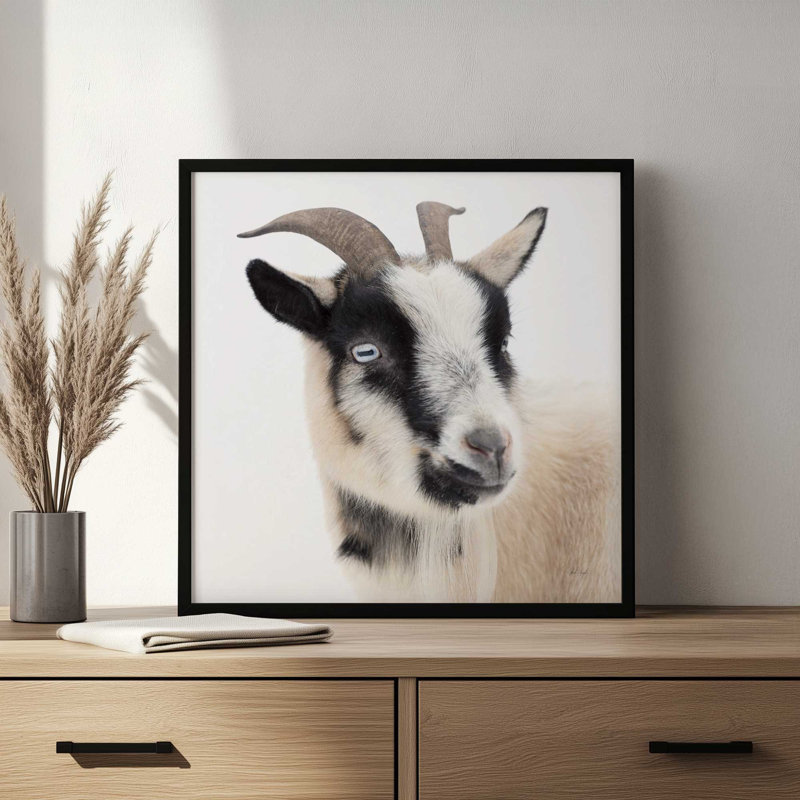 «Pippa The Goat I» par Deborah Revell, reproduction d'art, H 30 po x l 30 po, Doré