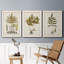 Fern Botanical I - Ensemble de 3 peintures sur toiles encadrées-772660942-772660939