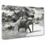 Mother & Baby Elephant Strolling - Wrapped Canvas Print-56633516