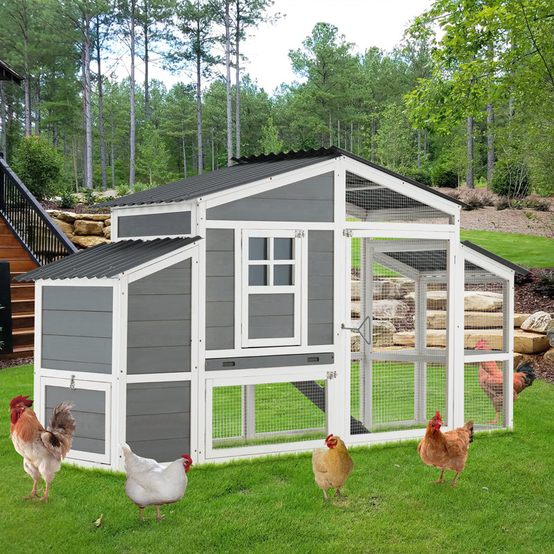 Large Gray and White Wooden Chicken Coop with Run