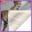 Couvertures Cheetah Family Illustration-126400883