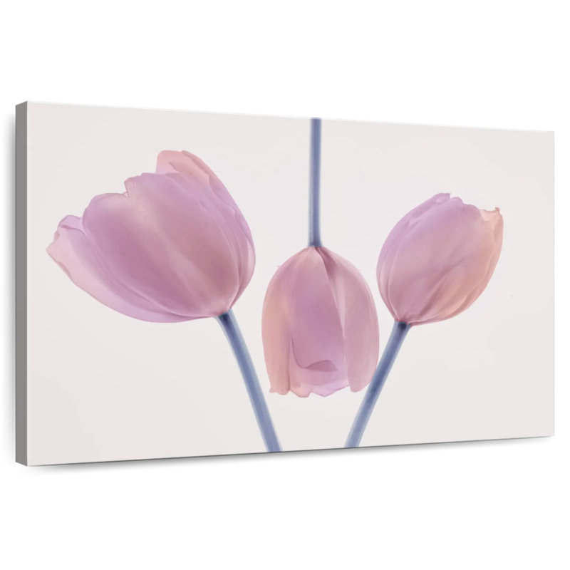 Harnek Trio Tulip, 34" H x 51" W