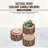 2'' H Wood Tabletop Tealight Holder-88039745-87899344