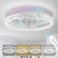 Ventilateur de plafond avec lumières RVB RVB, ventilateur de plafond à profil bas Fandelier de 19 po, intensité variable 3000K-6000K et ventilateur de plafond à DEL encastré moderne avec télécommande pour chambre à coucher-659655597