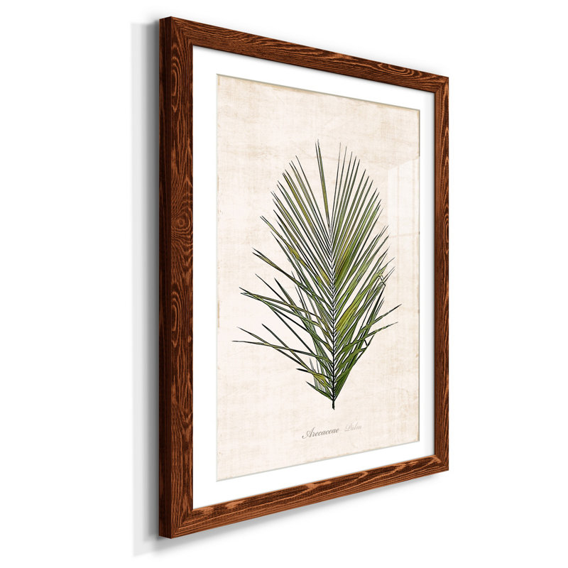 " Palm Botanical I ", Maple, 37.5" H x 27.5" W x 1" D