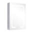 Azpeitia 45mm W 60mm H Surface Frameless Medicine Cabinet Mirror 2 Adjustable