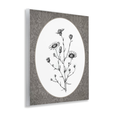 Ensemble de plaques murales Wild Daisies, par lettré et doublé