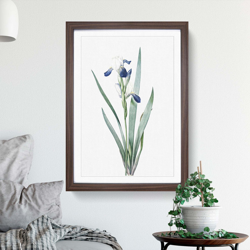 Tall-Bearded Iris Flowers by Pierre-Joseph Redoute - Picture Frame Art Print, 65cm H x 48cm W x 2cm D, Walnut Framed