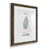 Walnut Framed Paper