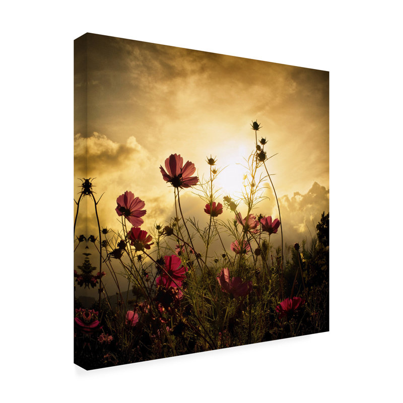 «Regarder le soleil» par Christian MARCEL, reproduction d'art sur toile
