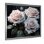 «White and Green Classic Rose Reson - Roses», art mural-811989911-845308420
