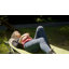Lit de camp pliant Alpcour-88195068