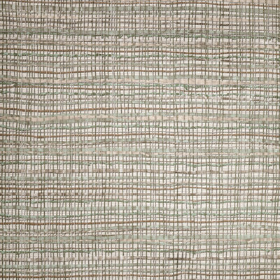 Salt Collection Fondo Wild Grass Effect 10.05m x 53cm Wallpaper Roll