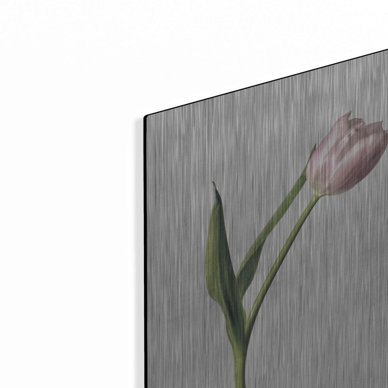 «Light Tulips II» par Debra Van Swearingen, H 16 po x l 12 po