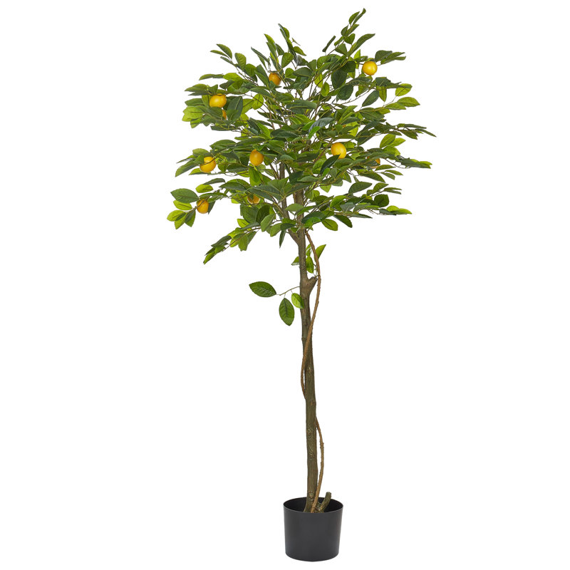 Faux Lemon Tree in Planter, 156cm H x 66cm W x 66cm D