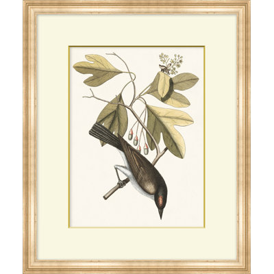 Summer Bird 2 Print