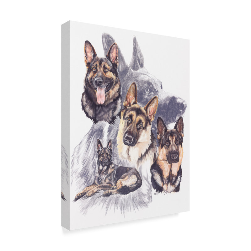 «German Shepard» par Adelphi, affiche vintage sur toile tendue, H 19 po x l 14 po