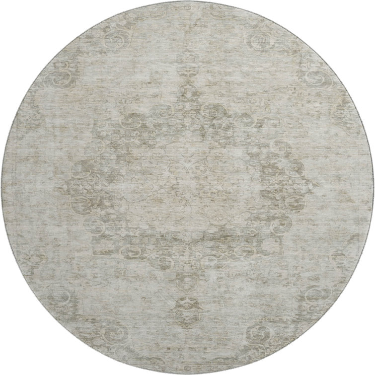 Premium Machine Washable Barry AMF1238 Global Rug