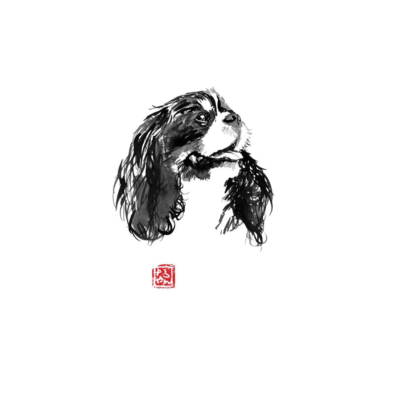 Cavalier King Charles by Péchane - Print on Canvas, Wrapped Canvas, 20.32 cm H x 30.48 cm W