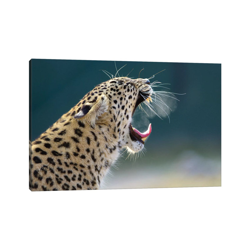 Smoking Leopard by Goran Anastasovski - Wrapped Canvas Print, 66.04 cm H x 45.72 cm W x 3.175 cm D