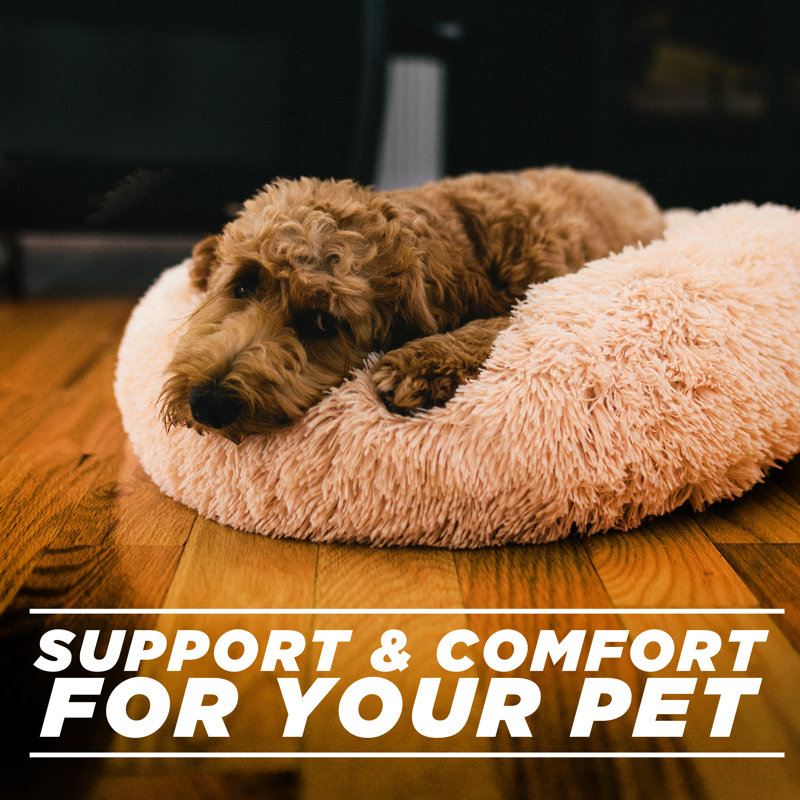 Esse Polyester Pet Bed