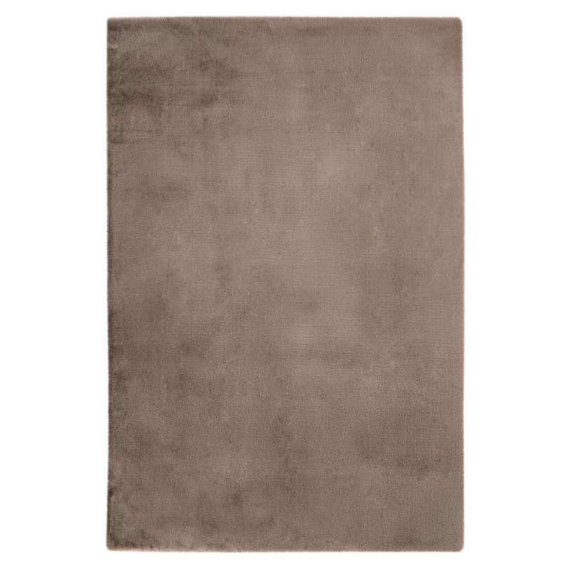 Brijshwaer Solid Colour Area Rug, Rectangle 160 x 230cm