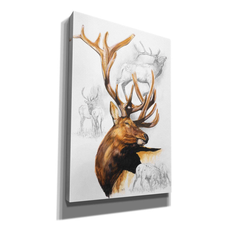 «Elk» par Barbara Keith - peinture sur toile tendue