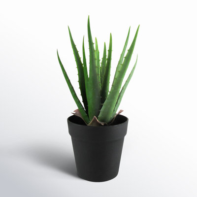 Faux Succulent Plant in Pot