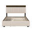 Lit plateforme en lin peu encombrant avec lit gigogne, tête de lit et tiroirs doubles-1214881871-1214881868