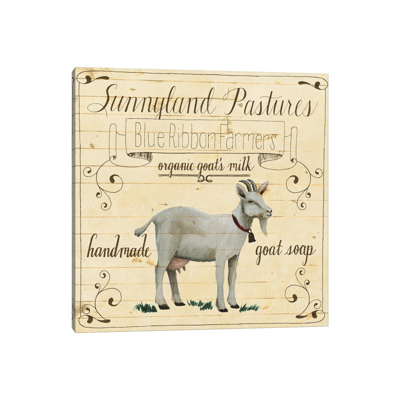Animal Farm Collection IV by Grace Popp - Wrapped Canvas Painting, 30.48 cm H x 30.48 cm W