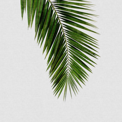 Orara Studio Palm Leaf I