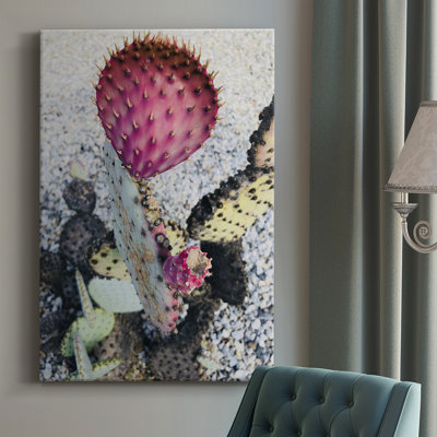 " Pink Yellow Cactus I "