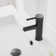 Single-Hole Single-Handle Bathroom Faucet With Pop-Up Drain Assembly  In Matte Black