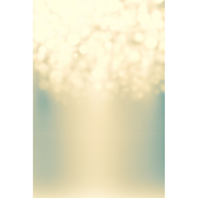 Sparkling Lights - Wrapped Canvas Print, 46cm H x 30cm W x 3.8cm D