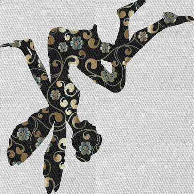 Indoor Rug