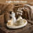 Round Distressed Beaded Wooden Decorative Tray-129030253