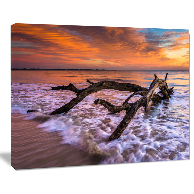 Huge Branch of Tree at Seashore Canvas Print, 12" x 20"