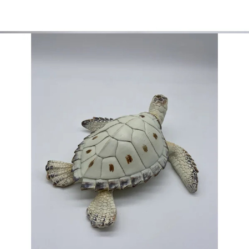 Tortue Penn, H 3 po x l 9 po x P 8 po
