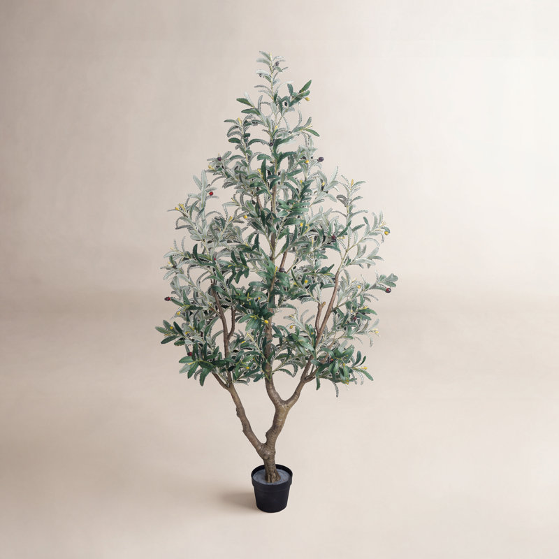 Olive Tree in Pot, 74"H x 20.87"W x 20.87"D
