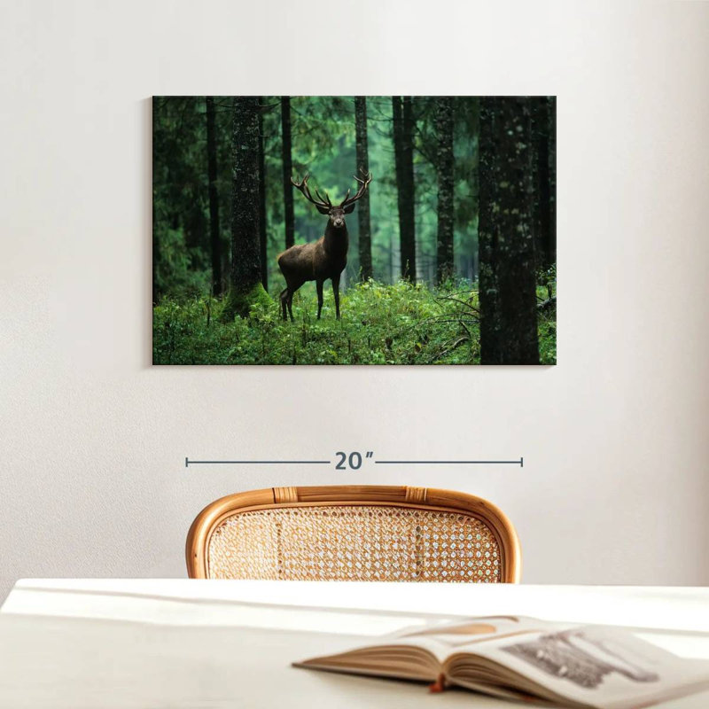Brampt Elk In Forest, 16'' H x 24'' W