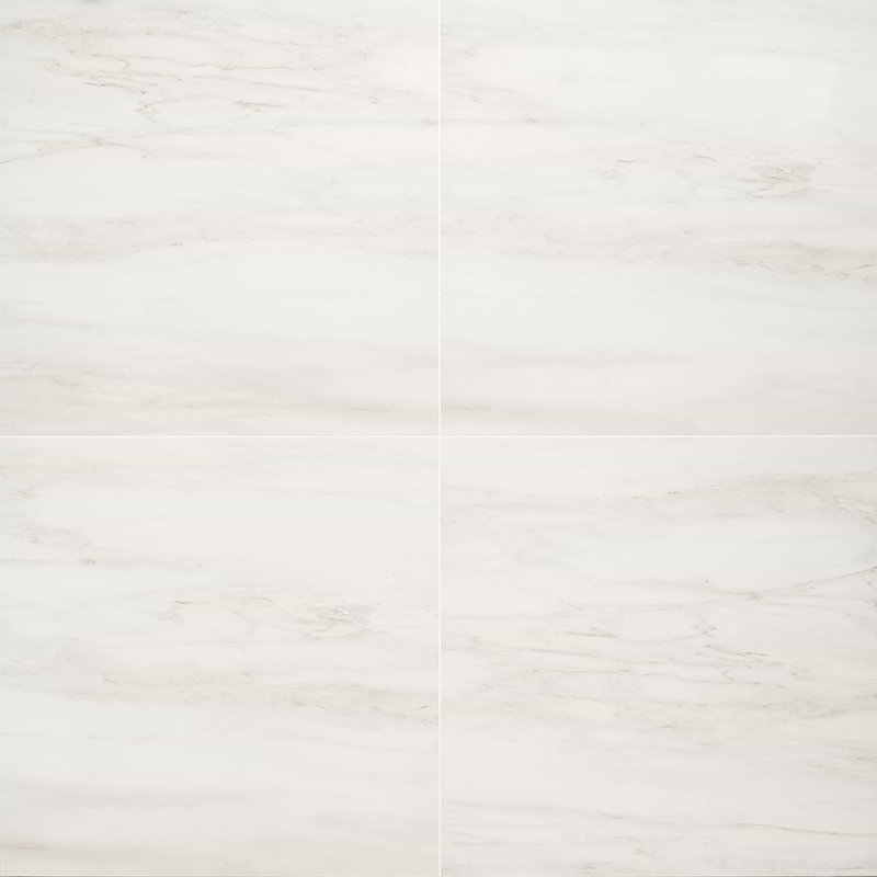 Dreamstone 24X24 Matte Porcelain Tile, Dolomite Snow Matte