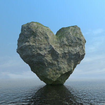 Stony Heart - Photographie sur toile tendue
