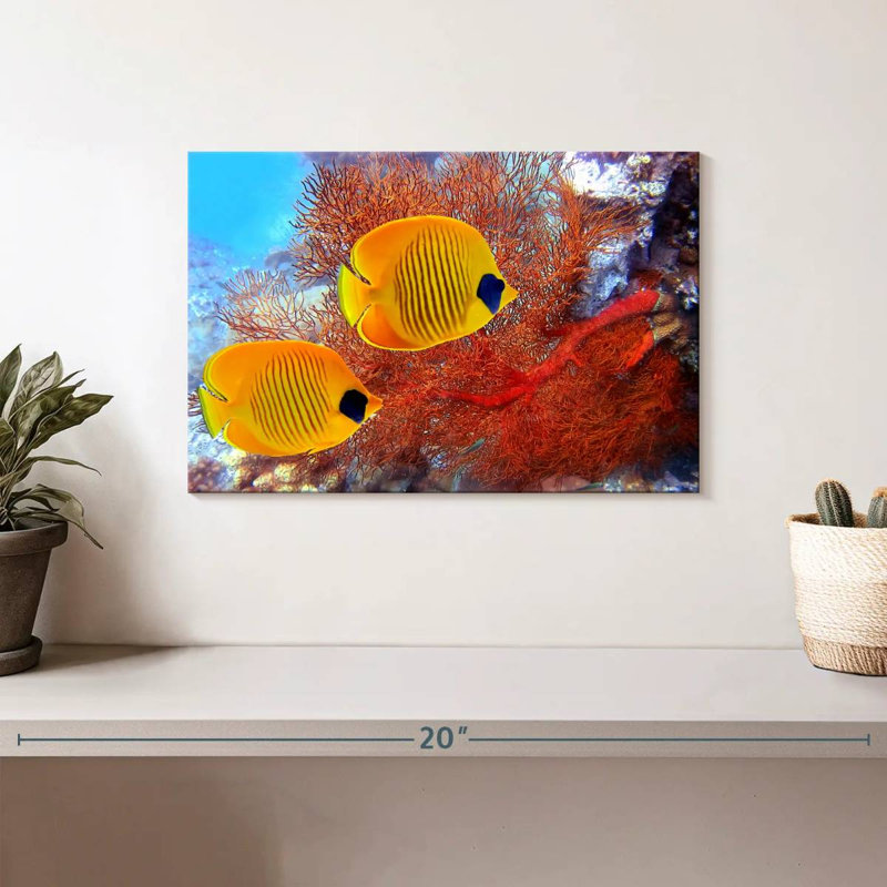 Poisson-papillon jaune Brampt récif corail, H 8 po x l 12 po