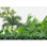 Tropical Leaf Peel & Stick Border