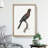 Black Parrot by F. Levaillant - Picture Frame Art Print-55512438-55512439