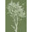 Tableau In Sage I by June Erica Vess - Wrapped Canvas Painting-266049898