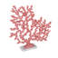 Coral Accent Décor